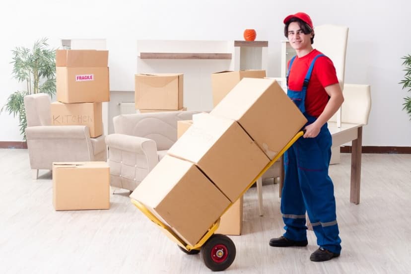 Pest Control Services in Dubai
