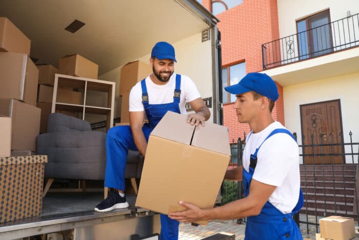 Pest Control Services in Dubai